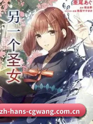 平台纪检委愿景
